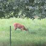 La Moselotte A Proche Et Voie Verte *