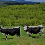 Lägenhet La Moselotte A Proche Et Voie Verte