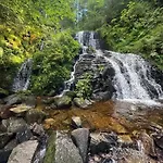 La Moselotte A Proche Et Voie Verte * Saulxures-sur-Moselotte