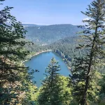 Lägenhet La Moselotte A Proche Et Voie Verte Saulxures-sur-Moselotte