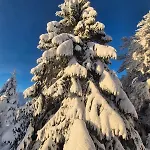 La Moselotte A Proche Et Voie Verte Lägenhet