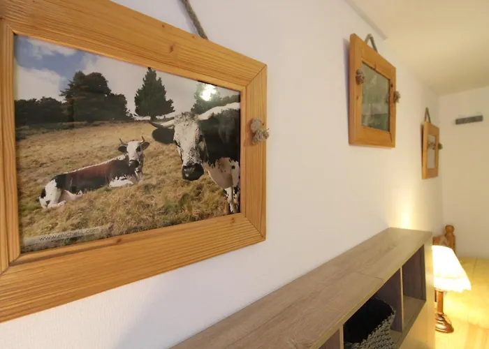 La Moselotte A Proche Et Voie Verte