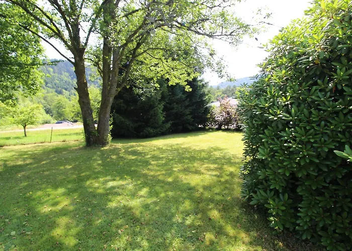 Apartment La Moselotte A Proche Et Voie Verte Saulxures-sur-Moselotte