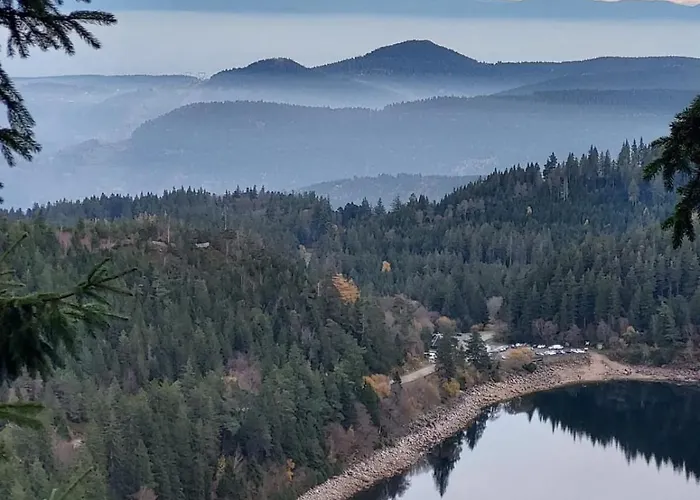 La Moselotte A Proche Et Voie Verte Apartment