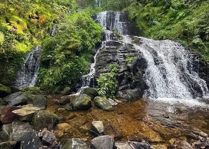 La Moselotte A Proche Et Voie Verte * Saulxures-sur-Moselotte