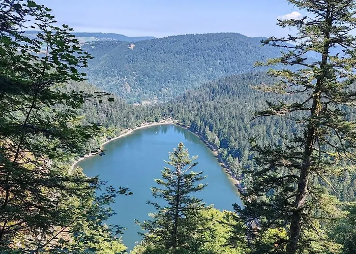 Apartment La Moselotte A Proche Et Voie Verte Saulxures-sur-Moselotte