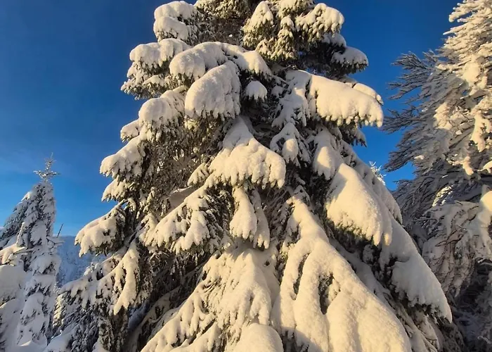 La Moselotte A Proche Et Voie Verte Apartment