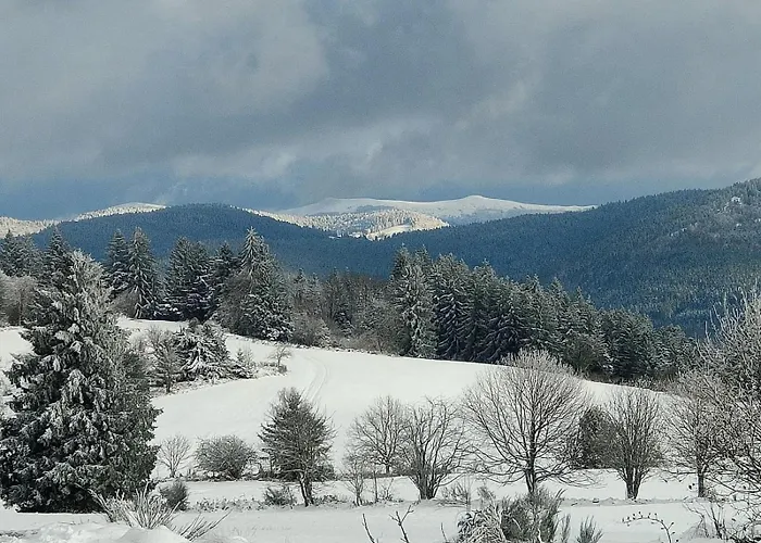 La Moselotte A Proche Et Voie Verte Saulxures-sur-Moselotte